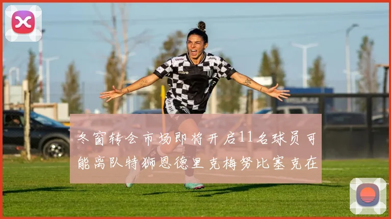 冬窗转会市场即将开启11名球员可能离队特狮恩德里克梅努比塞克在列
