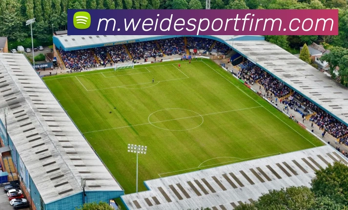 多媒体互动体验